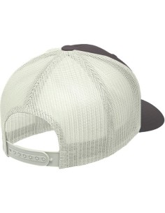 Oportunidad THE INDIAN FACE 66572 Gorra the indian face born to wakeboard gris y blanco 2