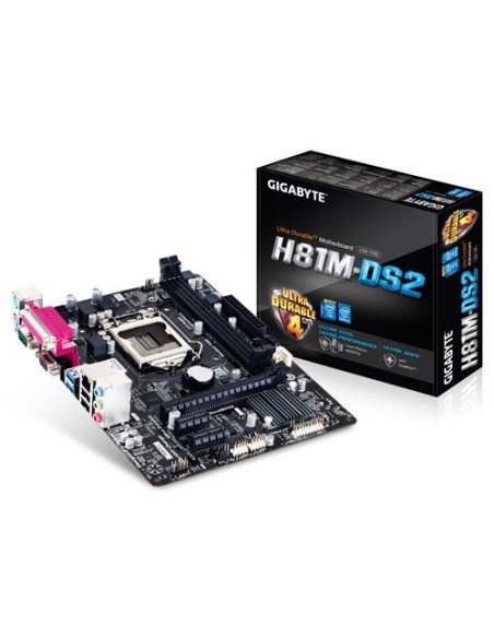 Gigabyte H81M-DS2 - Placa base Intel H81 (Socket 1150, 2DDR3, 16 GB, VGA, 2 sata3, 2 USB3): Kiwiku.com: Informática