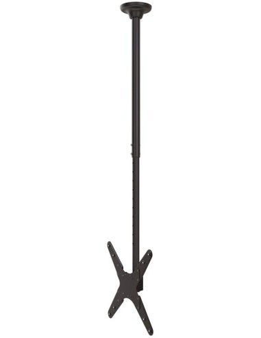 FPMA-C340BLACK Soporte de techo NewStar para TV | kiwiku