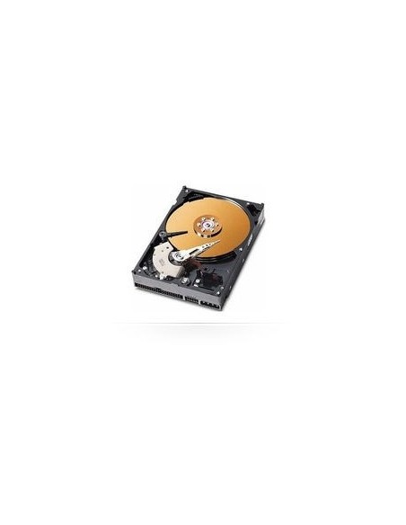 MicroStorage Disco Duro 160Gb 3.5'' IDE ATA 7200 AHDD007/2MB