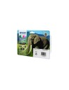 Cartucho de Tinta Epson claria 24 multipack XL C13T24384010