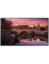Monitor Profesional QB49R 49" IP5X Digital 4K UltraHD