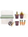 Dantoy - Green Garden - Juego de mini invernadero (4725)