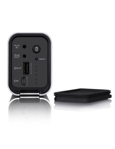 Kiwiku.com: Braven 710 - Altavoces inalámbricos portátiles, plateado - Electrónica