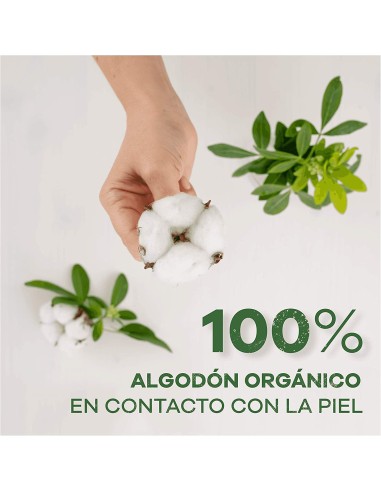 Mejor Precio en AUSONIA ORGANIC compresas noche alas 9 uds.
