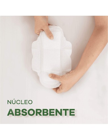 Mejor Precio en AUSONIA ORGANIC compresas noche alas 9 uds.