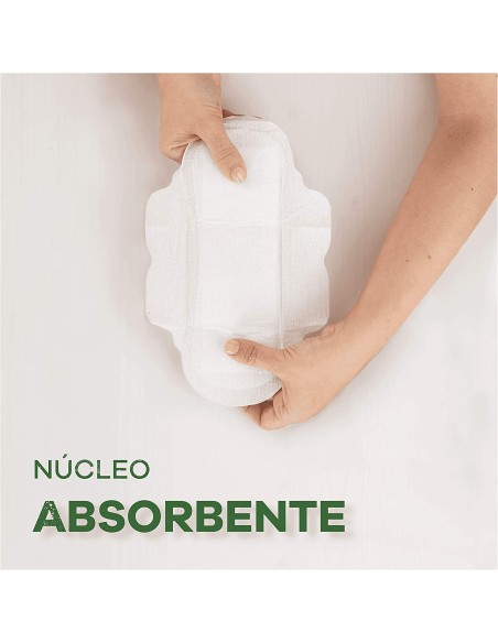 Mejor Precio en AUSONIA ORGANIC compresas noche alas 9 uds.