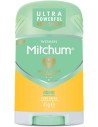 Mitchum Women Pure Fresh Desodorante Stick 41g para Mujer