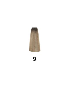 Mejor Precio en Exitenn Color Permanente 60 Ml , Color 9. 11901 2