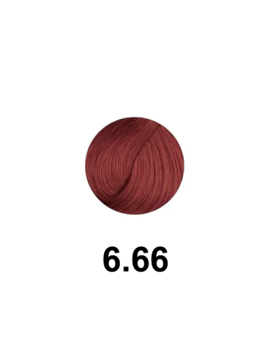 Ofertón Farmavita B Life Color 6 66 Sin Amoniaco 100 Ml. 14866