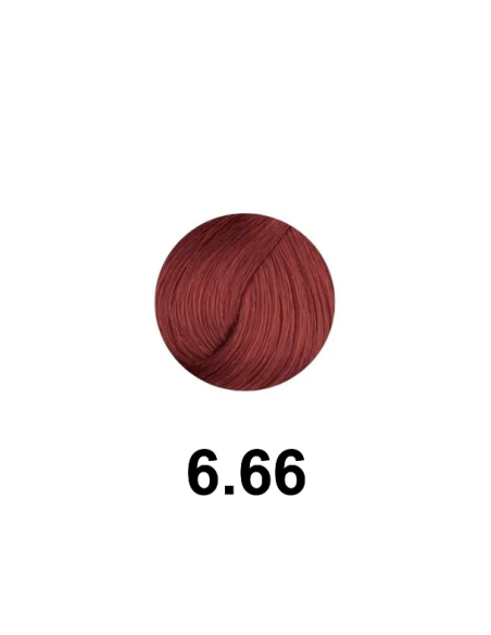 Ofertón Farmavita B Life Color 6 66 Sin Amoniaco 100 Ml. 14866