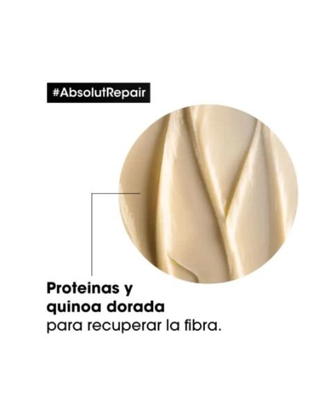 Comprar L'Oreal E3557700 L'oreal expert absolut repair mascarilla 250 ml