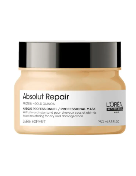Comprar L'Oreal E3557700 L'oreal expert absolut repair mascarilla 250 ml