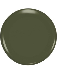 masterpiece_xpress_quick_dry_#600-feelin'pine_8_ml_3616303209339_oferta 2