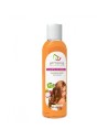 Champu Cebolla Vinagre Manzana 400ml