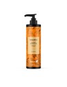 EBERS Champu Reparador 250 Ml (sin Sulfatos)