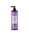 EBERS Champu Reconstituyente Antiencrespamiento 250 Ml (sin Sulfatos)