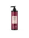 EBERS Champu Estimulante 250 Ml (sin Sulfatos)