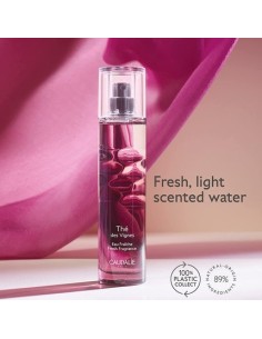caudalie_agua_fresca_eau_fraîche_thé_des_vignes_50_ml_3522930000990_oferta 2