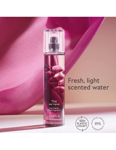caudalie_agua_fresca_eau_fraîche_thé_des_vignes_50_ml_3522930000990_promocion