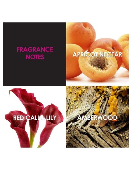 britney_spears_prerogative_eau_de_parfum_100ml_0719346233408_barato