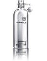 Montale Fougeres Marine Unisex Eau de Parfum 100ml