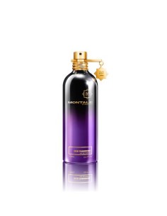 montale_oud_pashmina_eau_de_parfum_100ml_spray_3760260457958_oferta