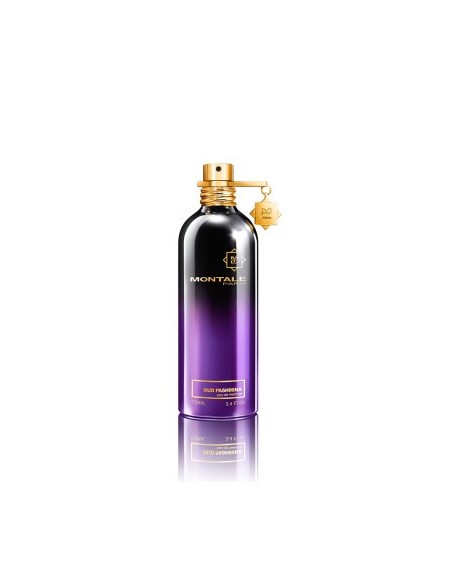 montale_oud_pashmina_eau_de_parfum_100ml_spray_3760260457958_oferta