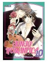 Junjo Romantica 10 (comic)