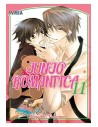 Junjo Romantica 11 (comic)