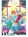 D.gray Man 13 (comic) (shonen)