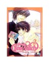 Junjo Romantica 02 (comic) (boy Love)