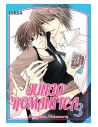 Junjo Romantica 03 (comic) (boy Love)