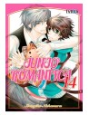 Junjo Romantica 14 (comic) (boy Love)