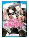 Junjo Romantica 15 (comic) (boy Love)