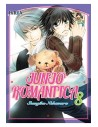 Junjo Romantica 08 (comic) (boy Love)