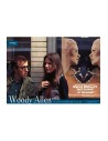 Diabolo Ediciones, S.l. Woody Allen. el Cine Dentro de Su Cine (cine)