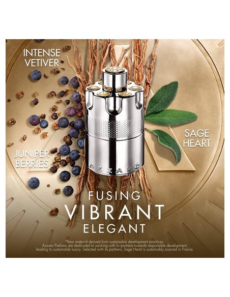 azzaro_wanted_eau_de_parfum_100ml_3614273903172_barato