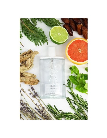 police_contemporary_eau_de_toilette_100ml_vaporizador_0679602381109_promocion