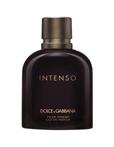dolce_&_gabbana_pour_homme_intenso_eau_de_parfum_vaporizador_125ml_3423473020820_barato