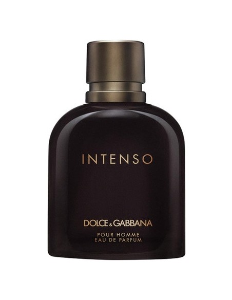 dolce_&_gabbana_pour_homme_intenso_eau_de_parfum_vaporizador_125ml_3423473020820_barato