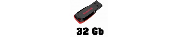 Memorias USB 32Gb
