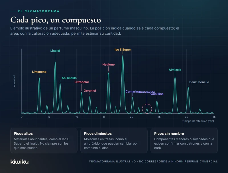 Cromatograma ilustrativo de un perfume con picos de limoneno, linalol, Hedione, Iso E Super, vainillina y almizcle