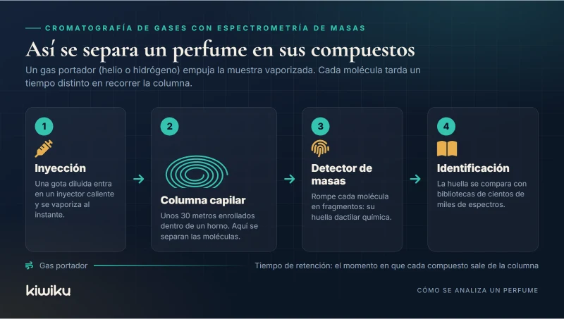 Esquema de la cromatografía de gases con espectrometría de masas: inyección, columna capilar, detector e identificación