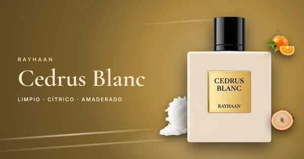 Rayhaan Cedrus Blanc: el unisex limpio de aldehídos, bergamota y cedro